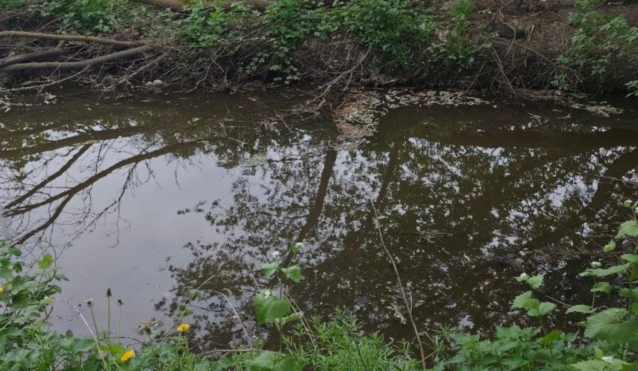 Землю біля річки Нивка передали під будівництво: прокуратура звернулася до суду