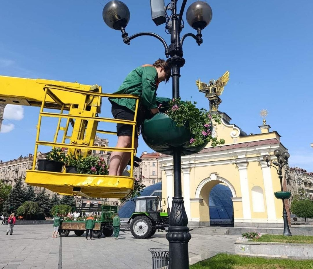 У Шевченківському районі Києва висадили ампельні квіти: фото