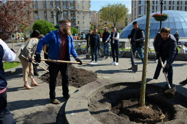 У Києві у 2023 році висадили 3 тисячі дерев