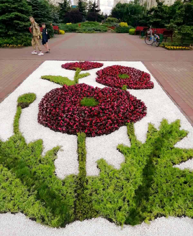 У Києві у 2023 році висадили майже 2 млн квітів: фото