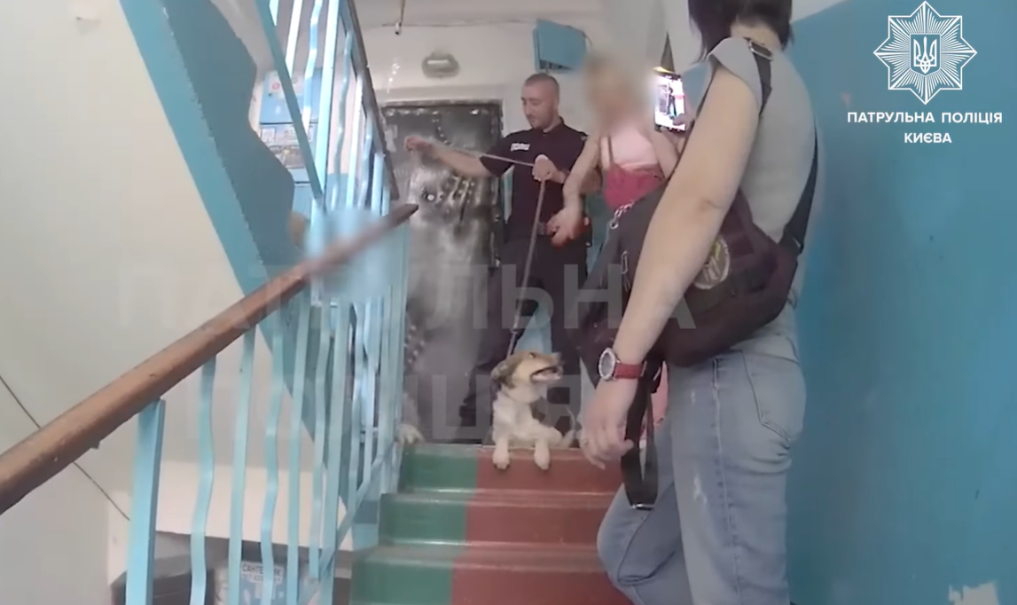 У Києві собаку зачинили на балконі на три доби, його врятували патрульні