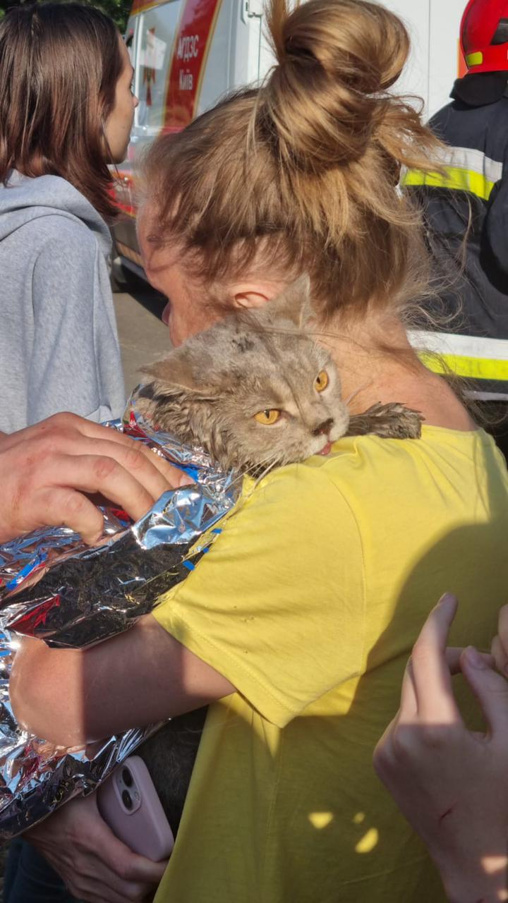 ДСНС врятували кота з пошкодженого вибухом будинку, 22 червня 2023