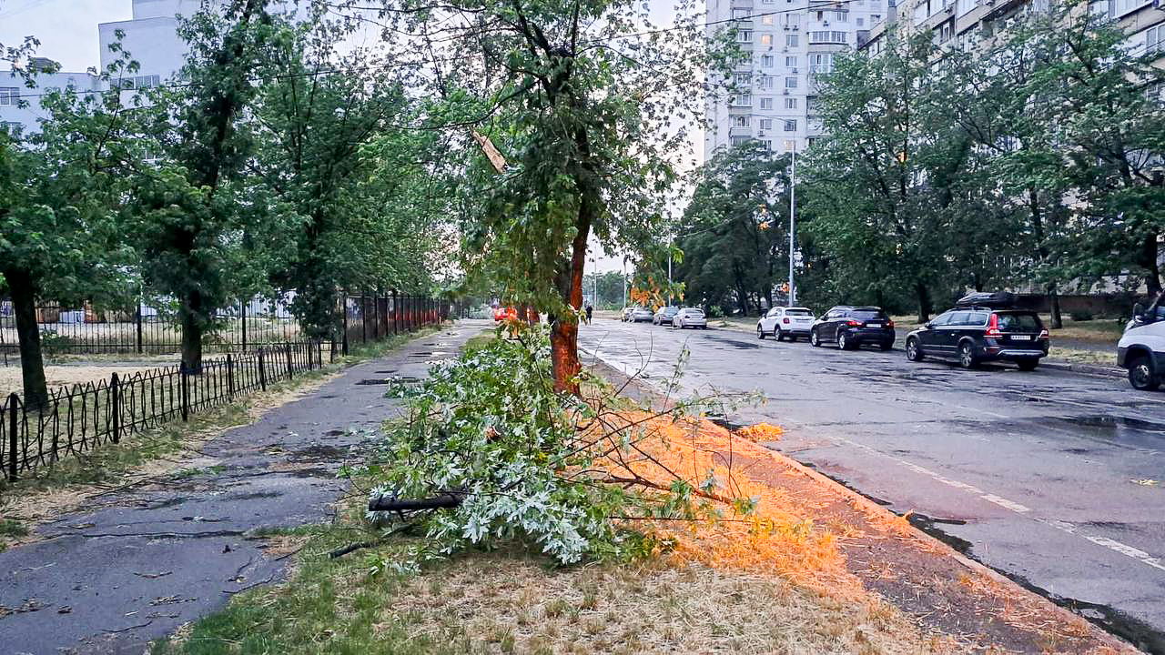 На вихідних у Києві вітер повалив 157 дерев, на пляжі Троєщина рятувальники дістали з-під поваленого дерева людей, які відпчивали у наметі.