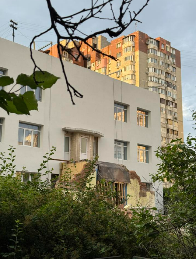 У Києві на фасаді дитсадка знищили панно в стилі Марії Примаченко: фото