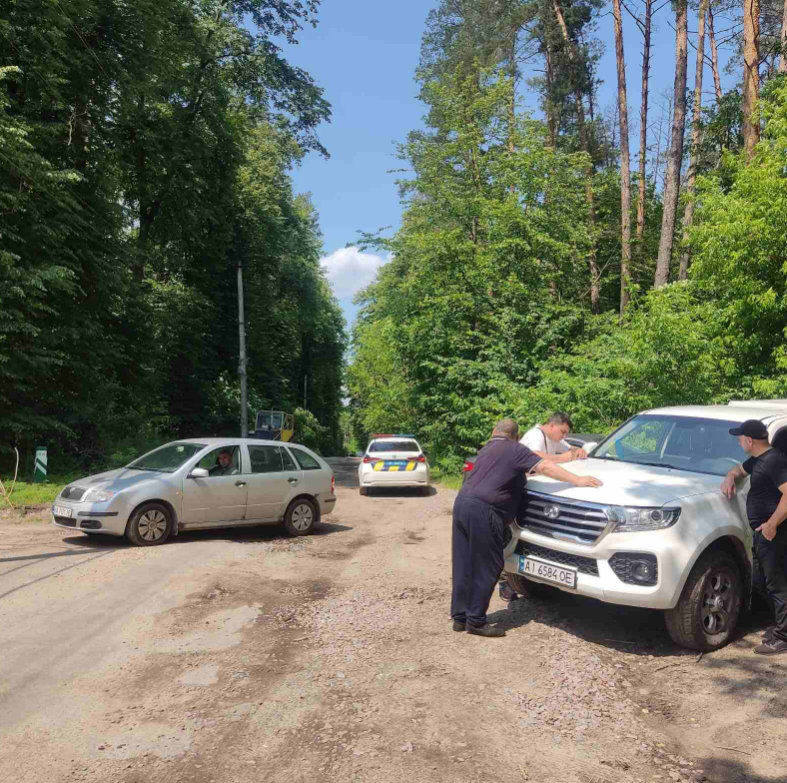 У Голосіївському парку затримали людей, які здирали кору з сосен: подробиці