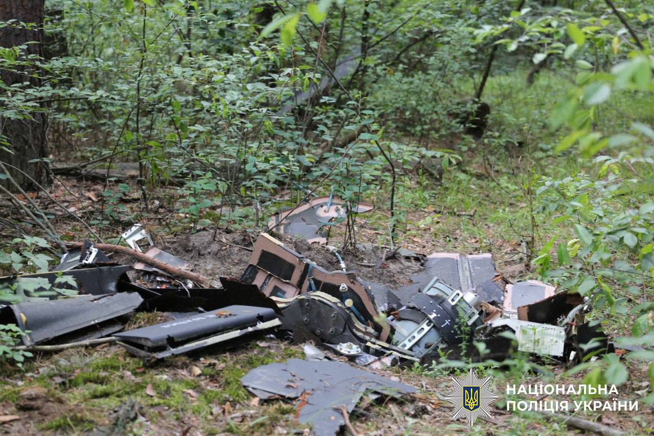 Після нічної атаки в лісосмузі на околицях Києва знайшли два російські БпЛА: фото
