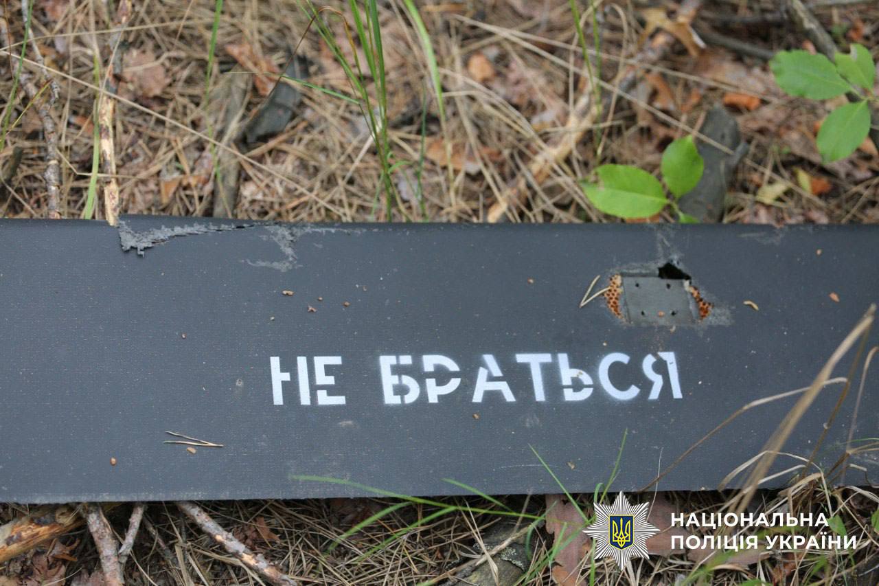 Після нічної атаки в лісосмузі на околицях Києва знайшли два російські БпЛА: фото