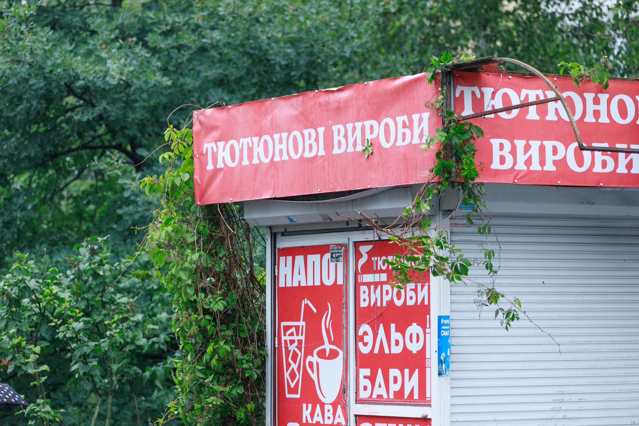 Біля станції метро "Житомирська" розпочали масштабний демонтаж МАФів: фото, відео