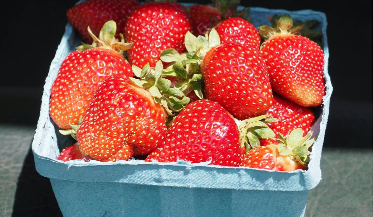 17-22 червня 2025 року у Києві проводитимуть продуктові ярмарки: перелік адрес