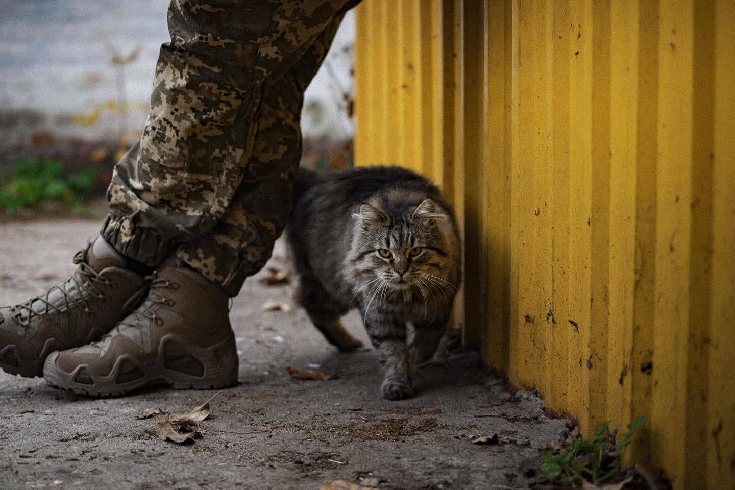 Фото: Відділення комунікацій 82 окремої десантно-штурмової Буковинської бригади ДШВ ЗС України