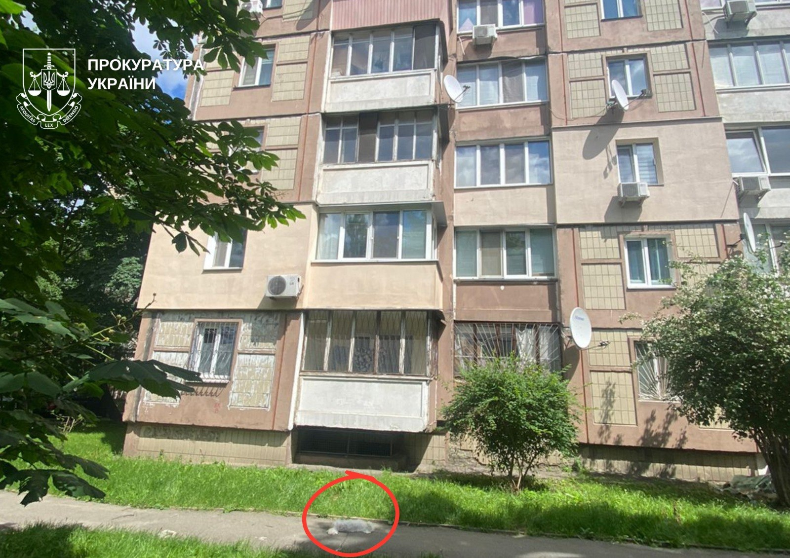 Викинув собаку з 6 поверху: мешканцю Святошинського району Києва оголосили підозру