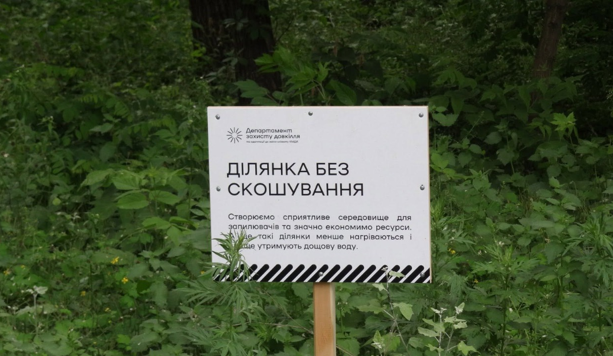 У Києві збільшують кількість ділянок з обмеженим скошуванням трави: деталі