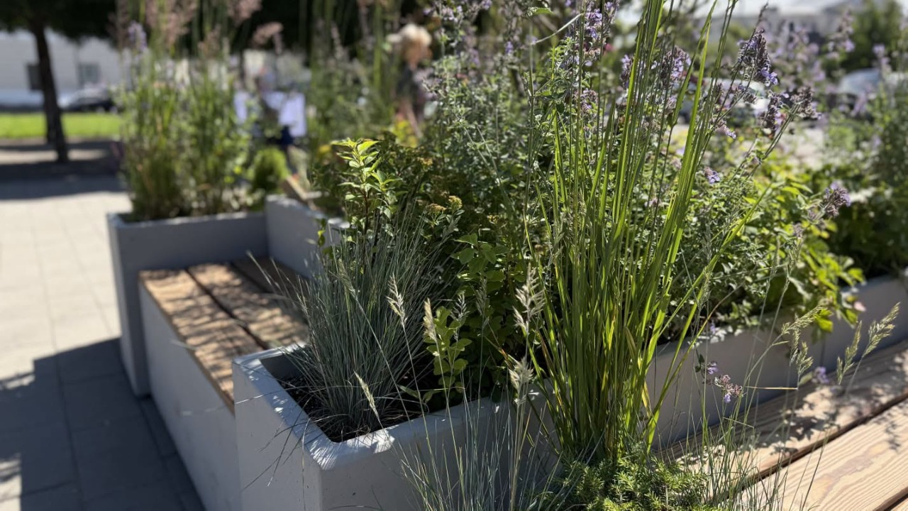 У сквері на Контрактовій площі в Києві з’явилися нові вуличні меблі: фото