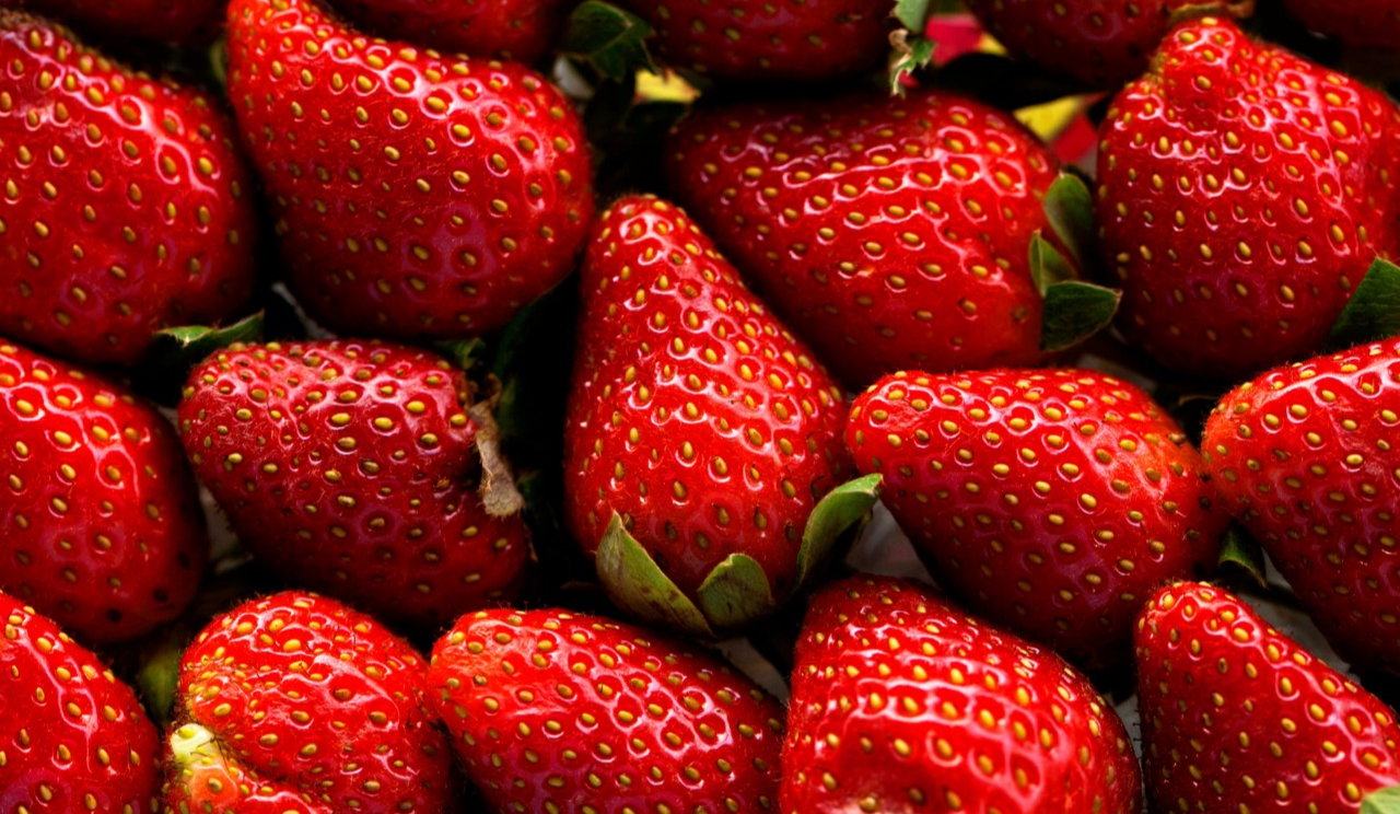 Де у Києві проходитимуть сезонні продуктові ярмарки 23-28 червня: адреси