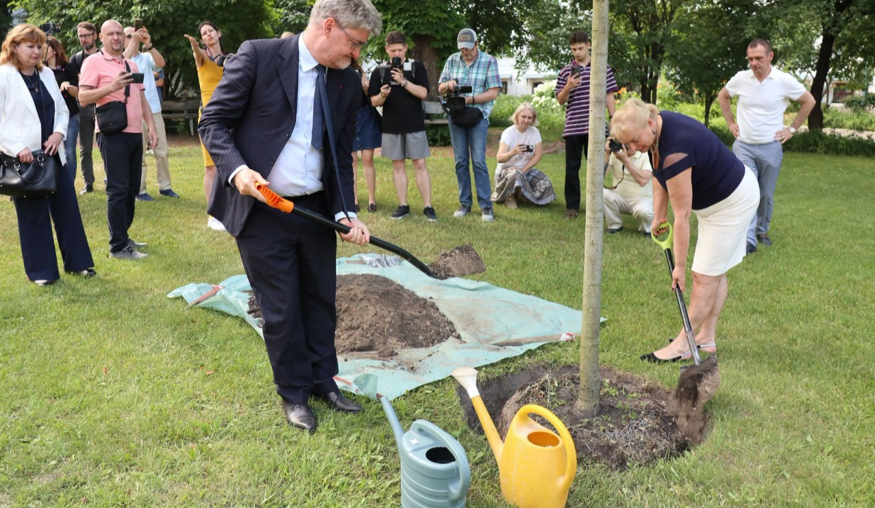 На території Софії Київської висадили дуб на честь Анни Ярославни: деталі