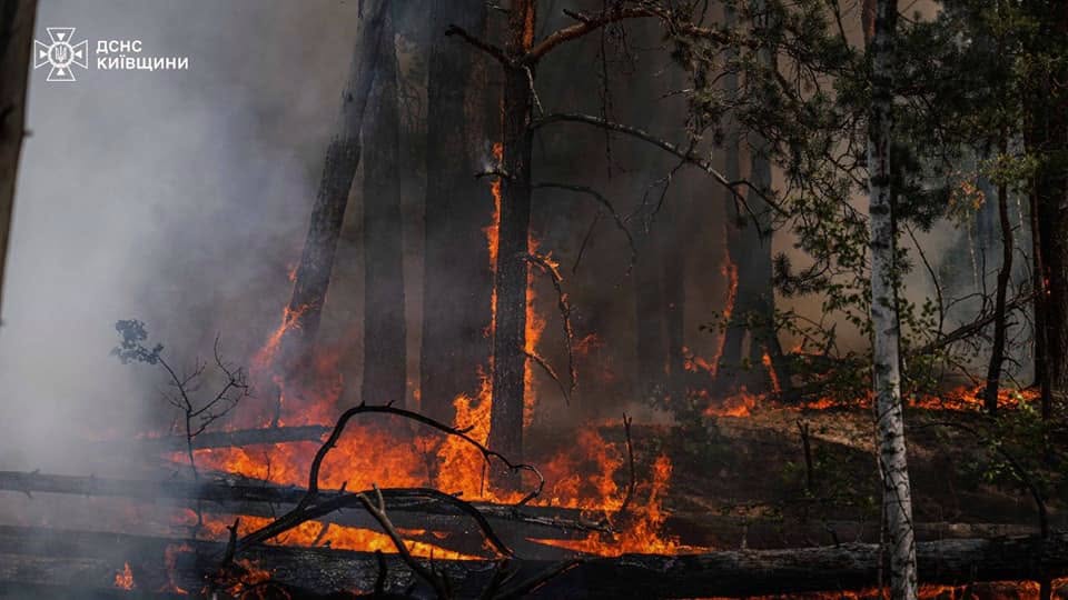 У Чорнобильській зоні ліквідують лісові пожежі