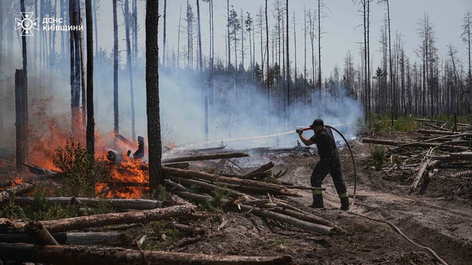 У Чорнобильській зоні ліквідують лісові пожежі