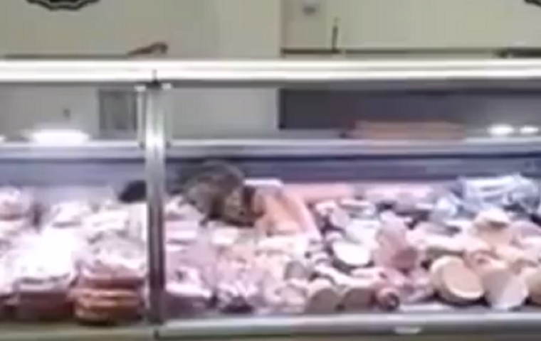 В киевском магазине заметили хвостатого «сотрудника отдела качества» (видео)