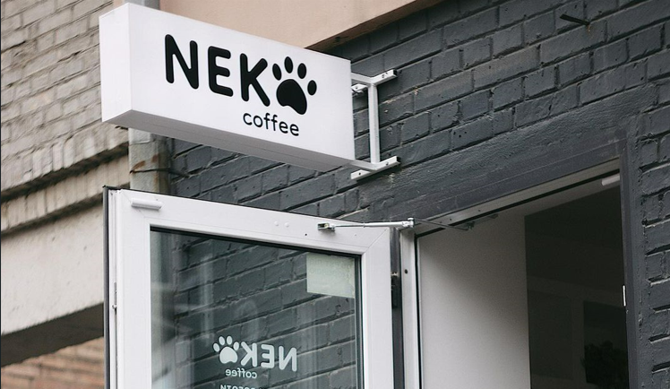 Кав'ярня Neko Coffee біля метро Тараса Шевченка: меню та ціни