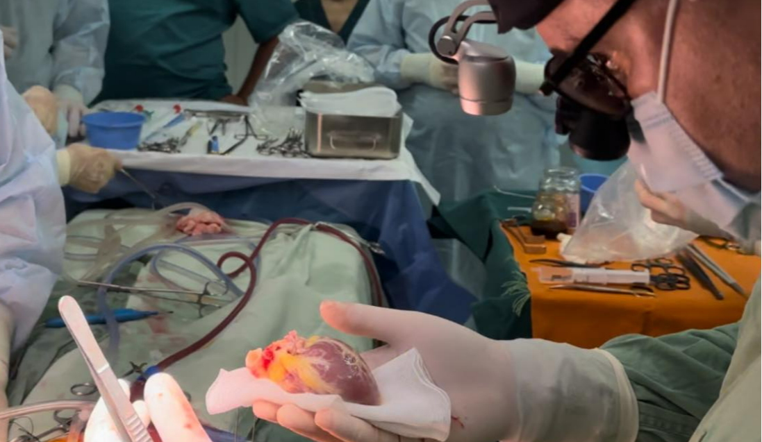 В київському Інституті серця МОЗ України вперше трансплантували серце загиблого 4-річного хлопчика хворій 6-річній дівчині.