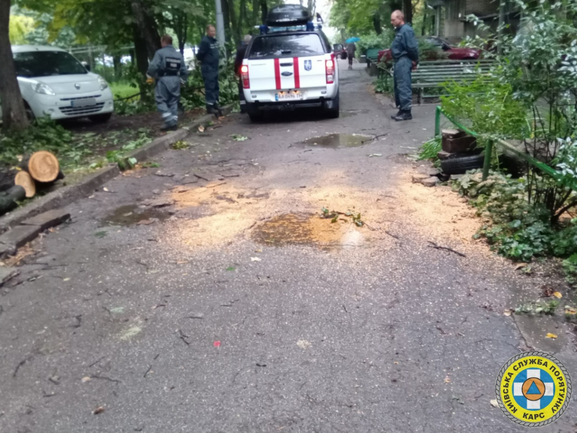 Вночі у Святошинському районі дерева впали на вантажівку та дорогу