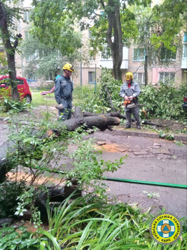 Вночі у Святошинському районі дерева впали на вантажівку та дорогу