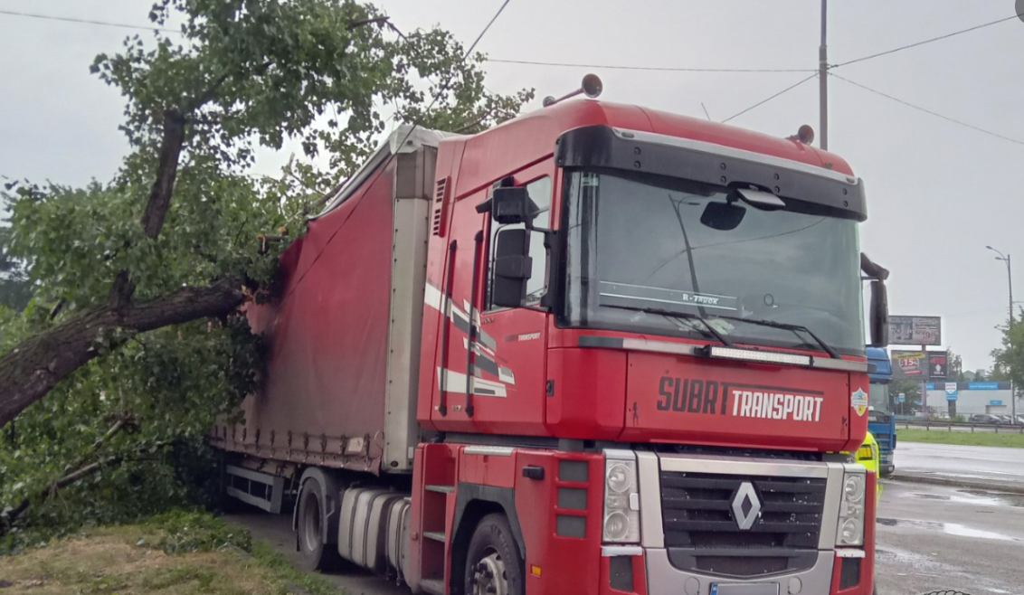 Гроза у Києві: у Святошинському районі дерева впали на вантажівку та дорогу