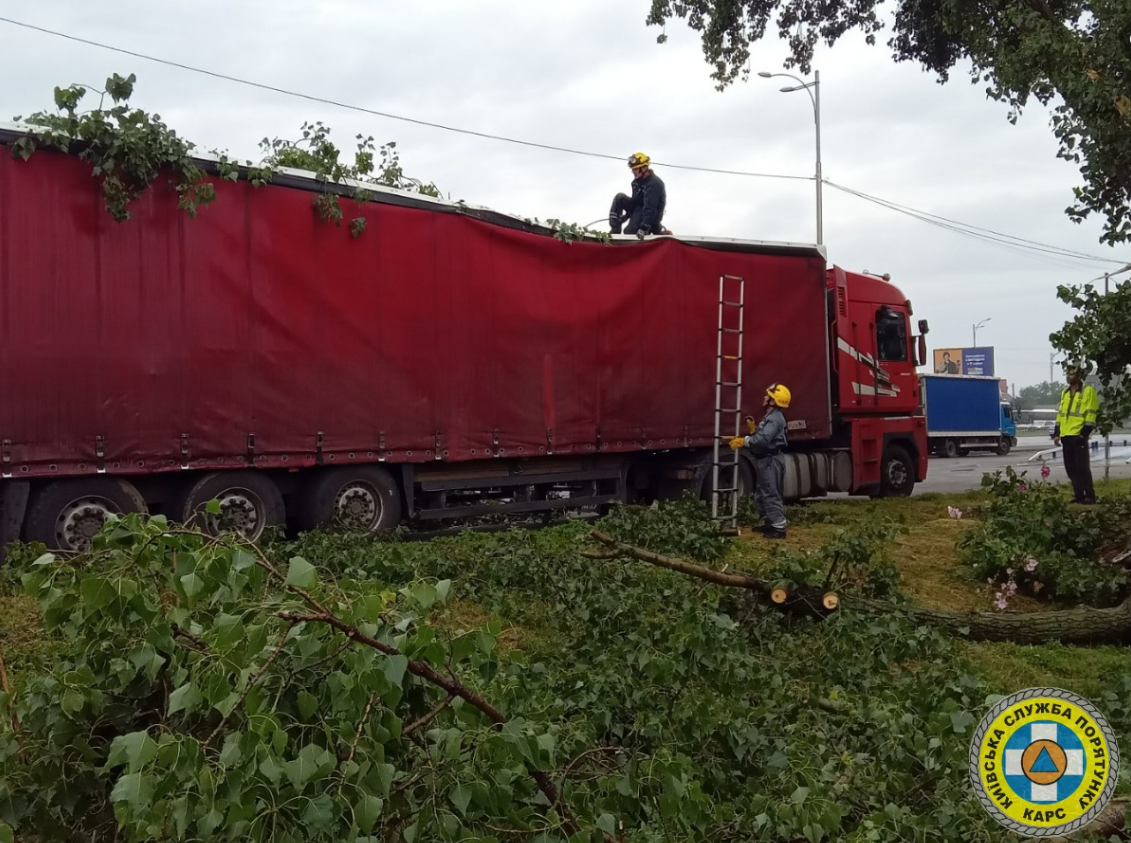 Вночі у Святошинському районі дерева впали на вантажівку та дорогу