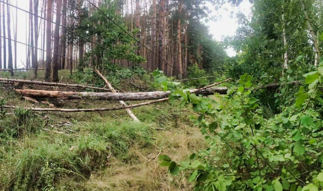 На Київщині через грозу знеструмлено 20 населених пунктів: коли полагодять
