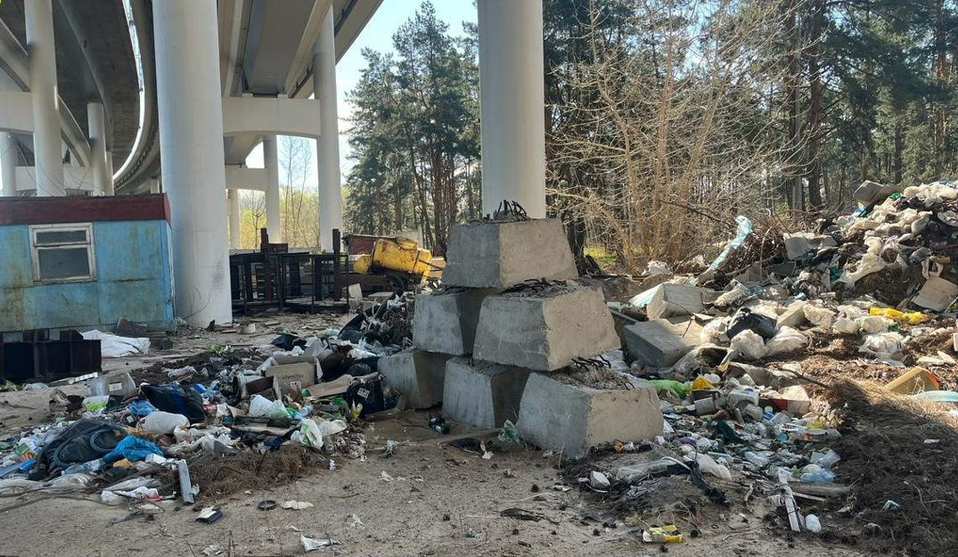 Під час будівництва Подільсько-Воскресенського мостового переходу земельну ділянку на території острова Труханів перетворили на сміттєзвалище