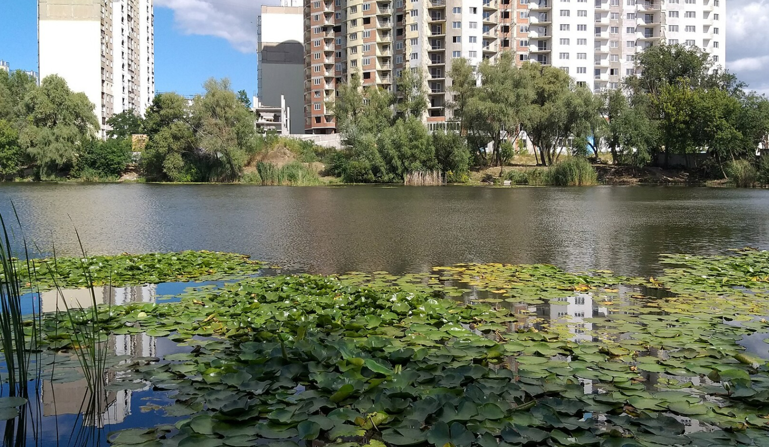 На Позняках перевірили якість води в озері Жандарка: що показали результати