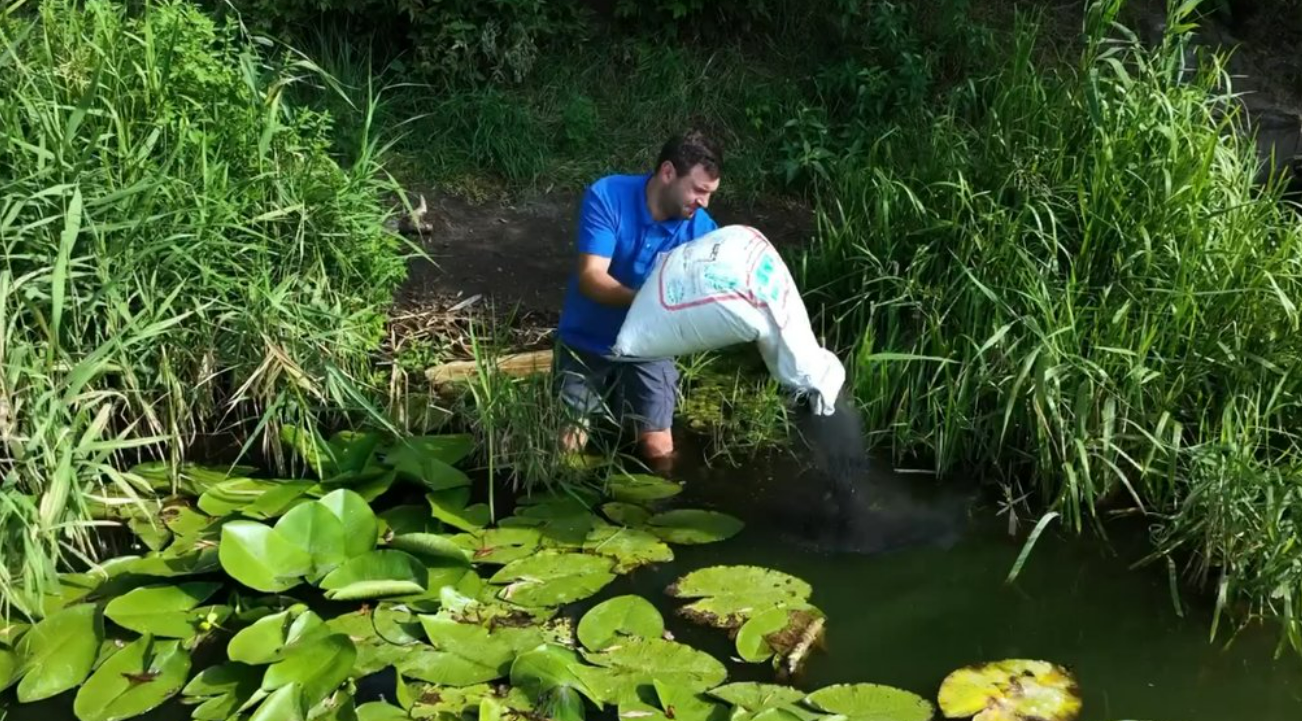 Зелений колір та неприємний запах: вода в озері Жандарка досі не відповідає нормативним вимогам