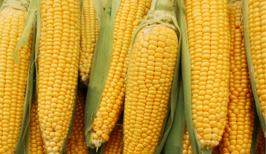 22-27 липня у Києві проводитимуть продуктові ярмарки: повний перелік локацій