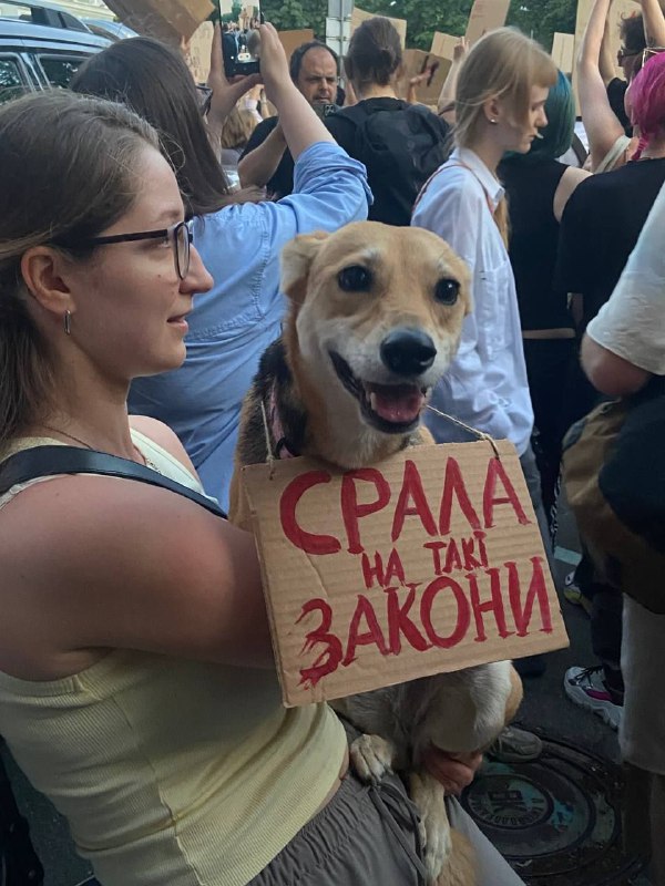 Закон про НАБУ і САП: у Києві на протест 23 липня 2025 року вийшло понад 9 тисяч містян