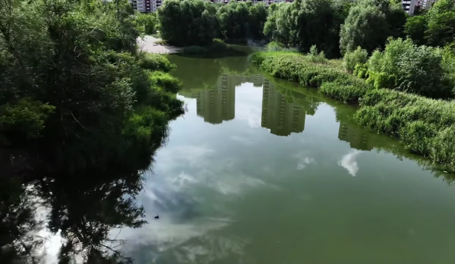 Озеро Жандарка у Києві очистили хлорелою для боротьби з "цвітінням" води
