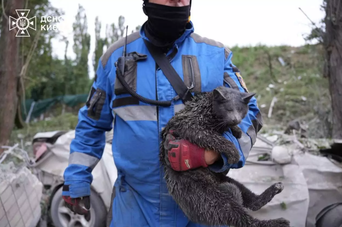 Фото: ДСНС