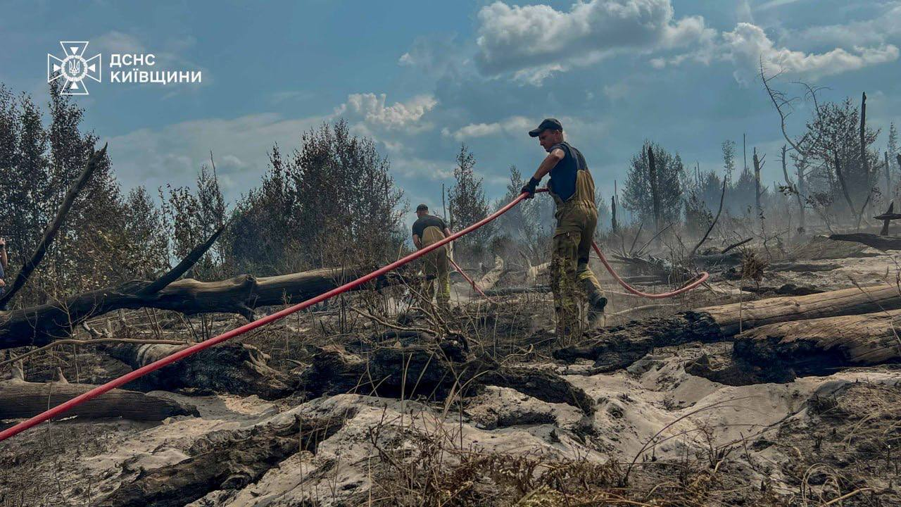На одній із локацій у Зоні відчуження на Київщині ліквідували займання: фото
