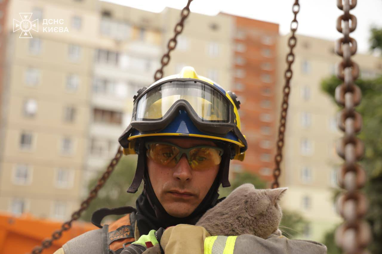 З пошкодженої російським обстрілом квартири у Києві врятували кота: фото