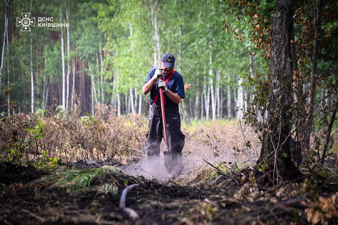 Фото: ДСНС Київщини У Чорнобильській зоні відчуження на Київщині повністю ліквідували лісову пожежу: фото