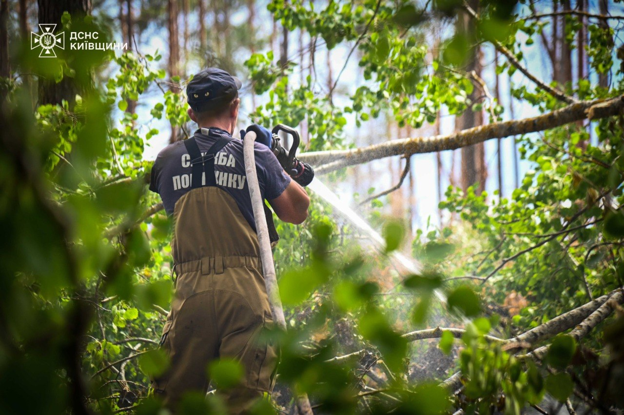 У Чорнобильській зоні відчуження на Київщині повністю ліквідували лісову пожежу: фото