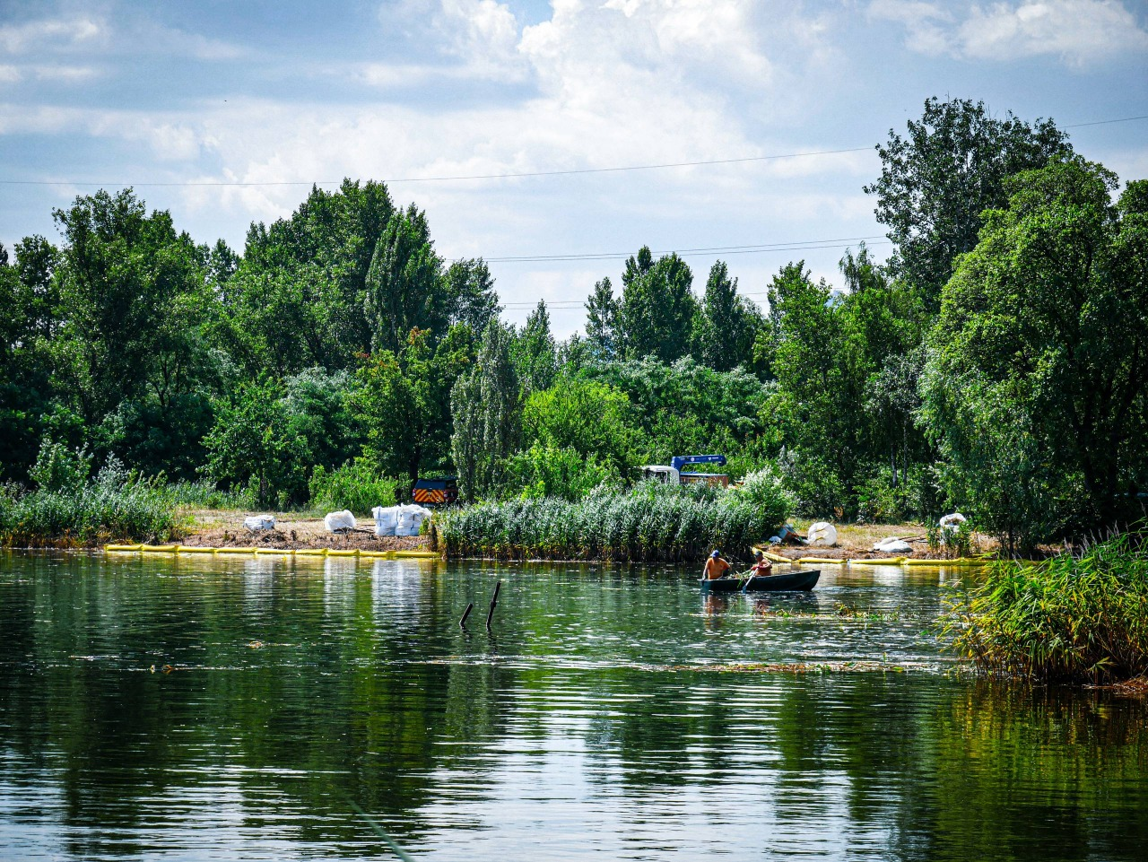 Забруднення озера Кирилівського в Києві: що зробили для очищення водойми