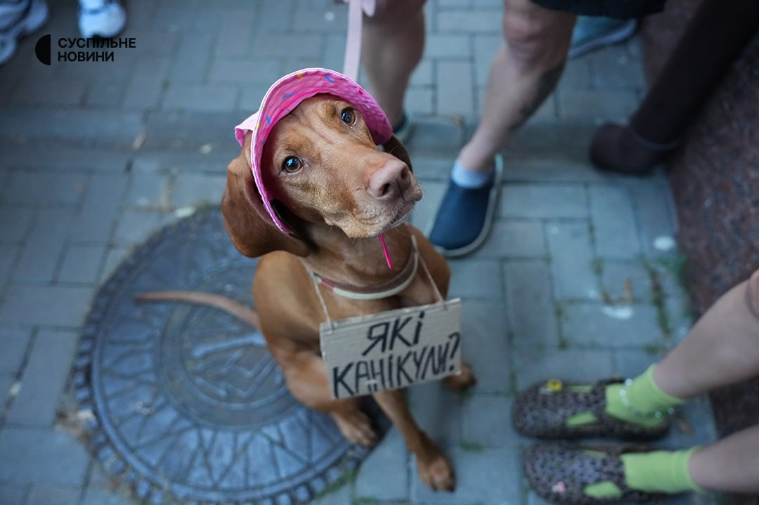 17 липня 2026 року в Києві знову відбулися протести проти звільнення Михайла Федорова