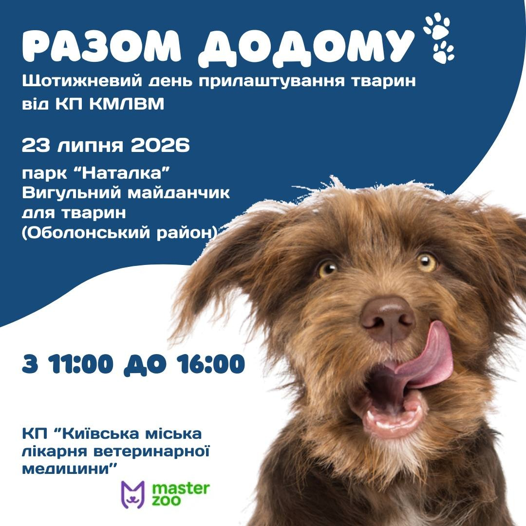 "Разом додому": у київському парку "Наталка" проведуть День адопції тварин