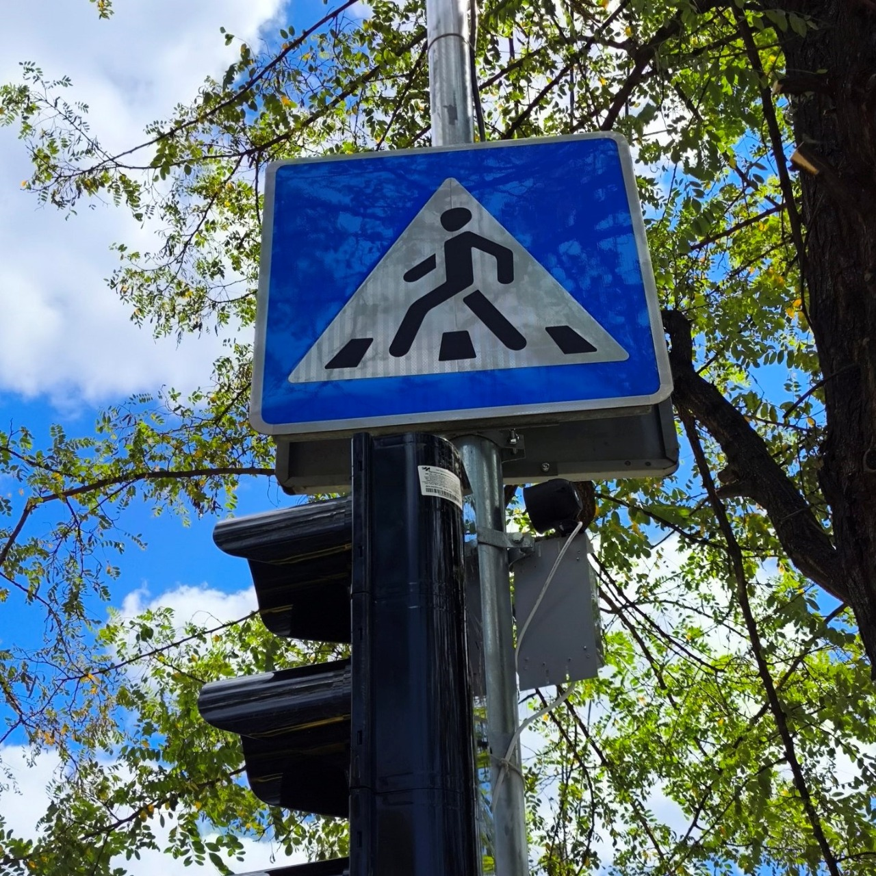 На наземному переході біля метро "Лук’янівська" у Києві запрацювали світлофори: фото
