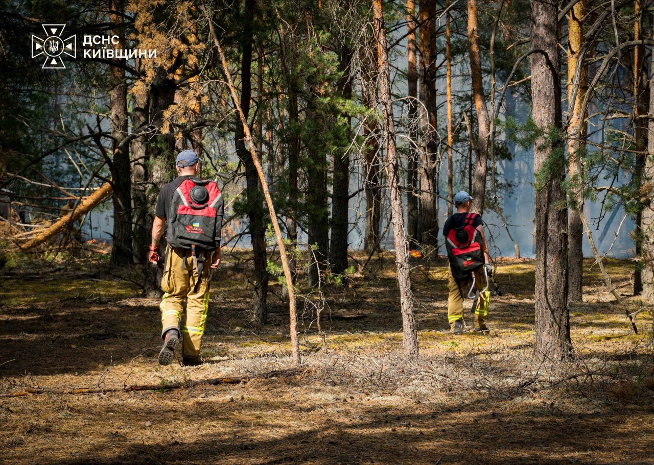 У Зоні відчуження на Київщині тривають пожежі: який радіаційний фон