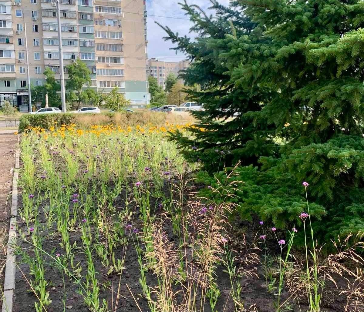 У парку "Молодіжний" в Деснянському районі Києва облаштували новий квітник: фото