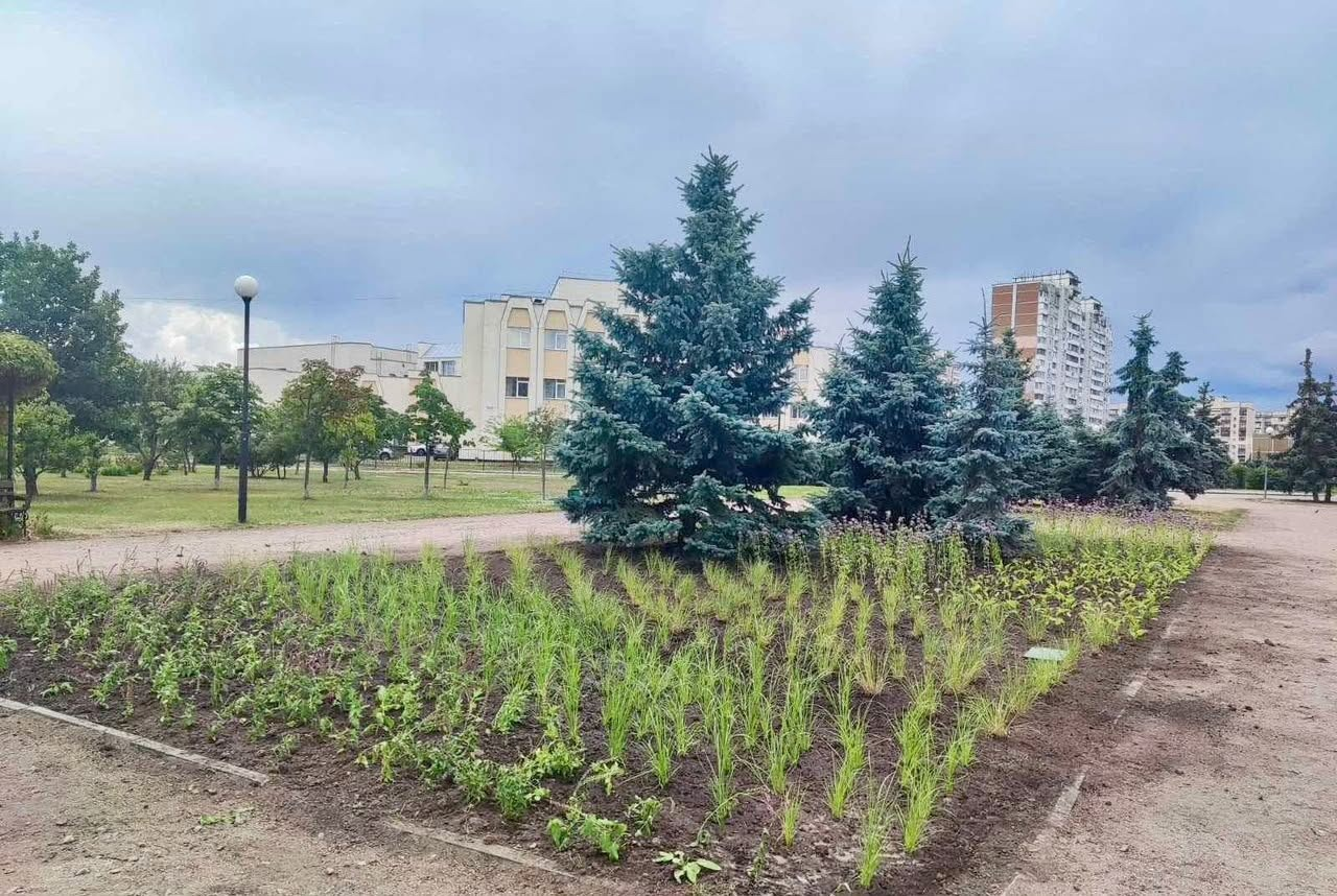 У парку "Молодіжний" в Деснянському районі Києва облаштували новий квітник: фото