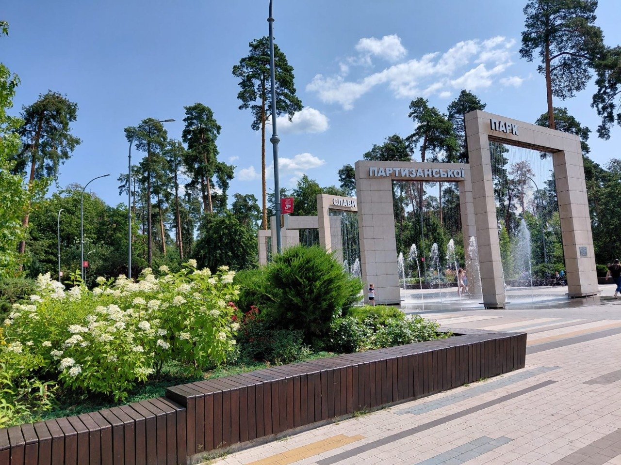 Моносади та пишні алеї: де в Києві помилуватися гортензіями у сезон цвітіння