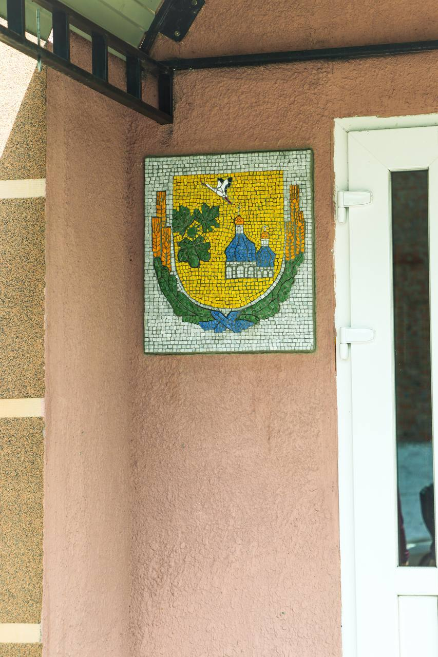 Для села Гайшин на Київщині виготовили герб з мозаїки: як він виглядає
