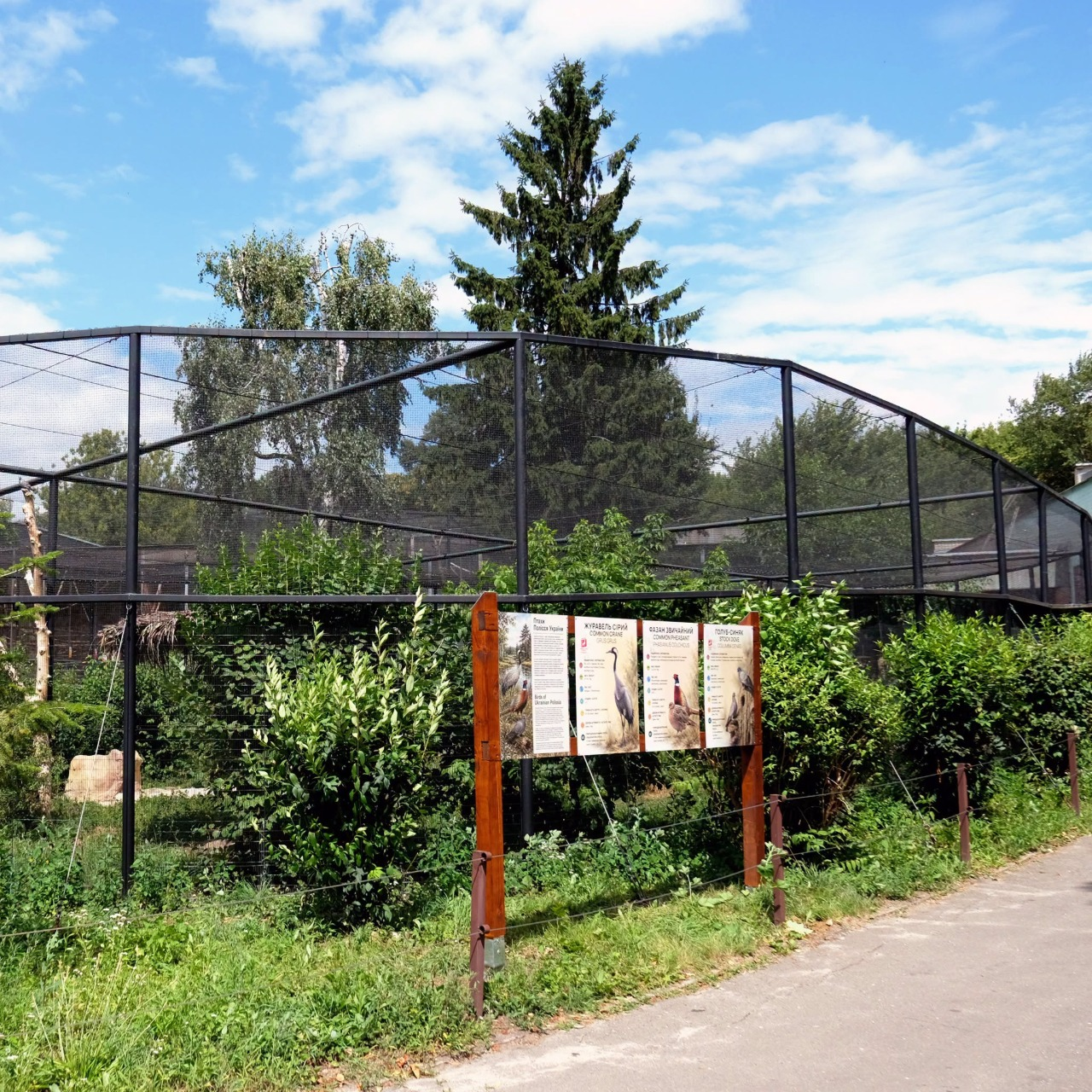 Фото: КиївЗоо У Київському зоопарку облаштували авіарій для птахів українського Полісся: фото